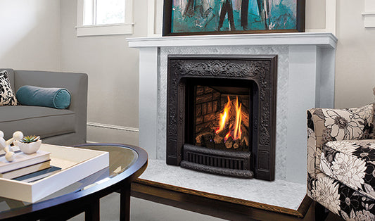 Q1 GAS FIREPLACE / INSERT